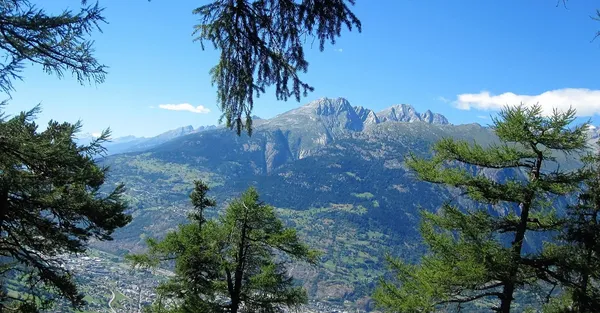 In der Haut eines Schweizer Bauern !