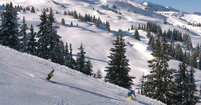 Ski Sport in den Portes-du-Soleil im Winter in Champéry