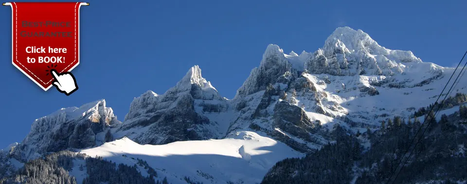 Homepage – Winter